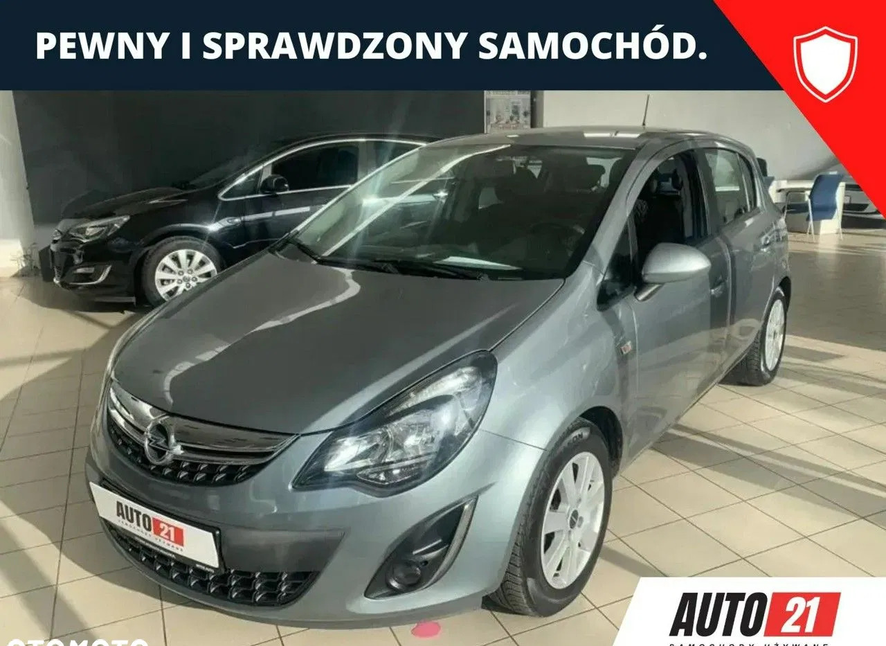 jastrowie Opel Corsa cena 24300 przebieg: 156371, rok produkcji 2013 z Jastrowie